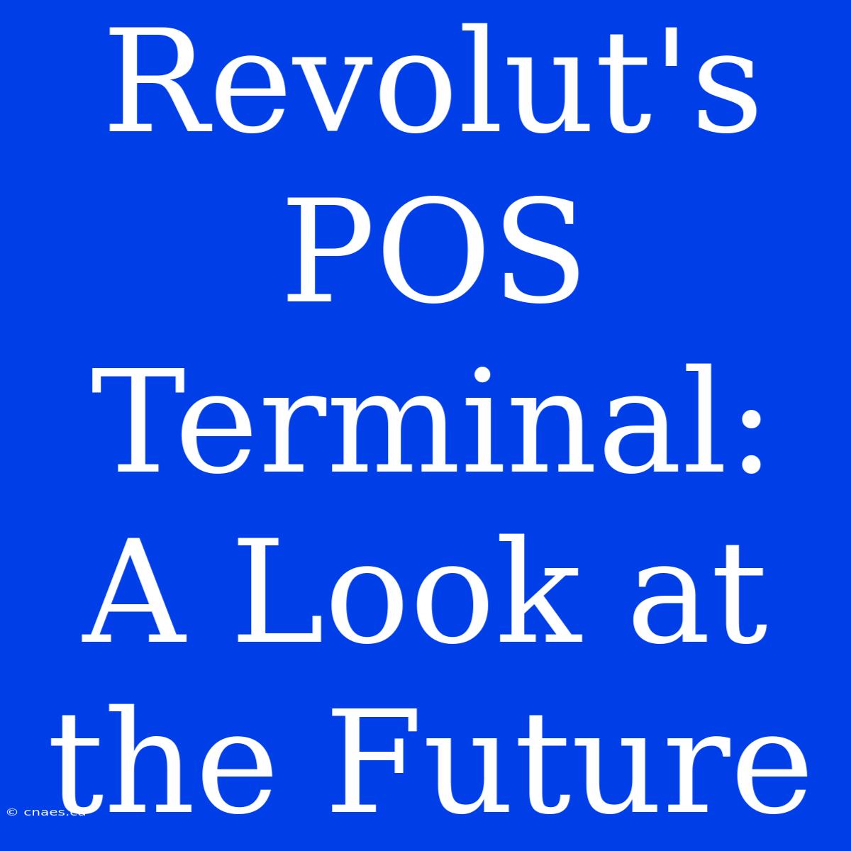 Revolut's POS Terminal: A Look At The Future