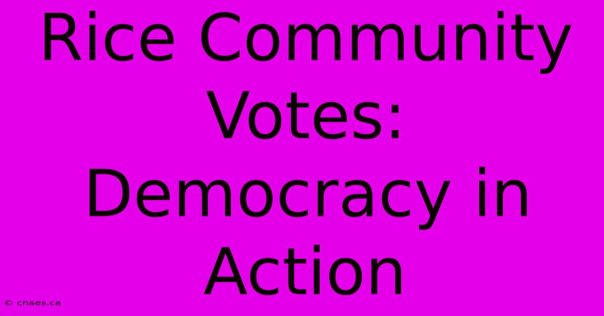 Rice Community Votes: Democracy In Action