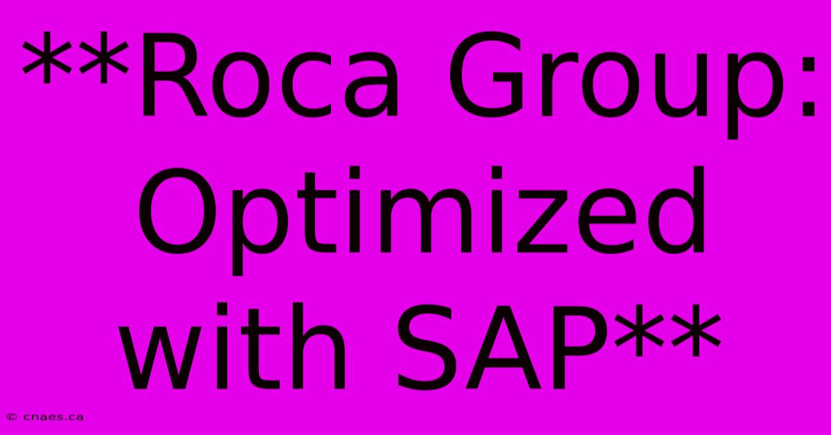 **Roca Group: Optimized With SAP**