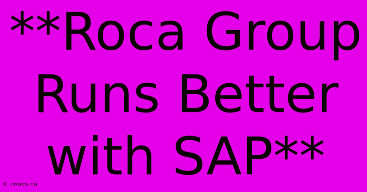 **Roca Group Runs Better With SAP**