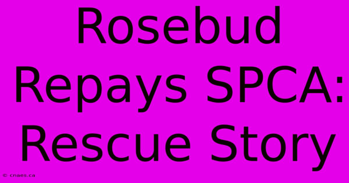 Rosebud Repays SPCA: Rescue Story