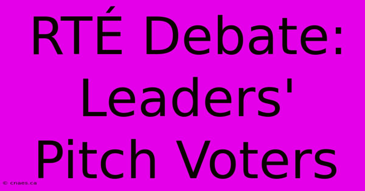 RTÉ Debate: Leaders' Pitch Voters