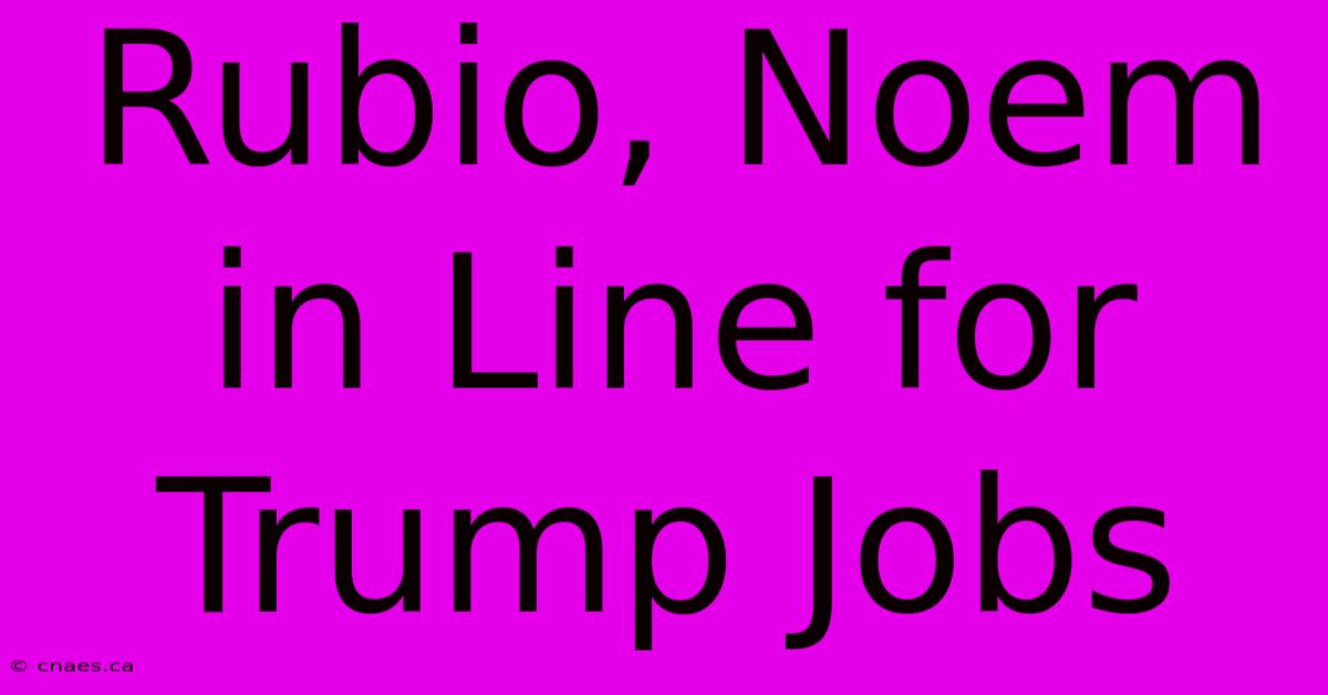 Rubio, Noem In Line For Trump Jobs