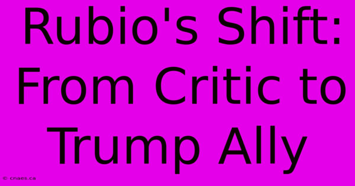 Rubio's Shift: From Critic To Trump Ally 