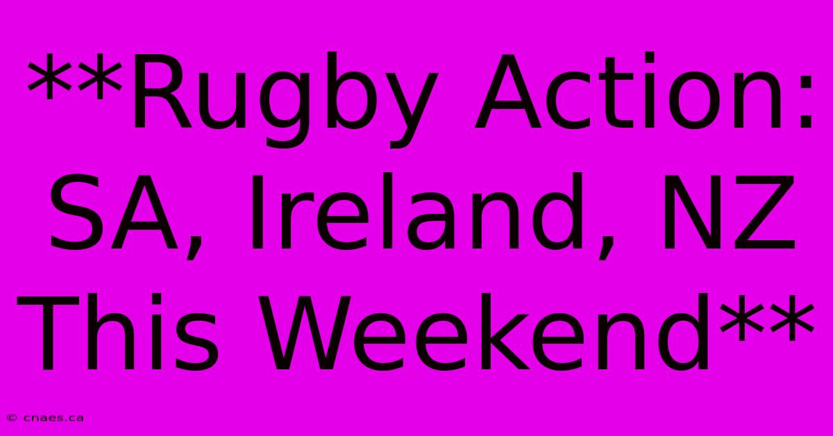 **Rugby Action: SA, Ireland, NZ This Weekend** 