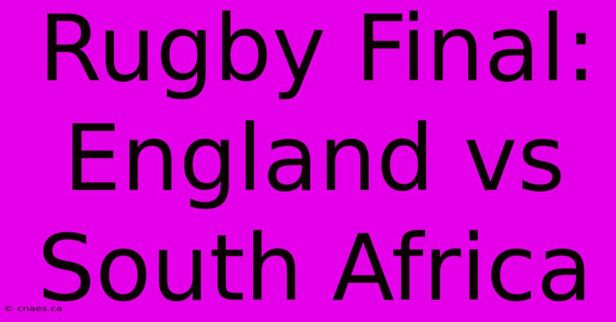 Rugby Final: England Vs South Africa