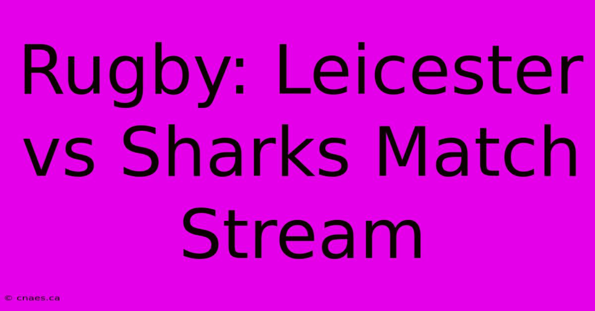 Rugby: Leicester Vs Sharks Match Stream