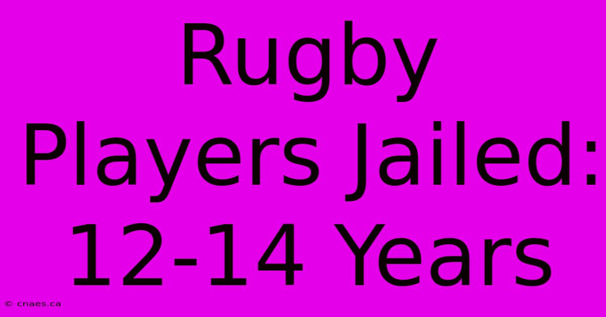 Rugby Players Jailed: 12-14 Years