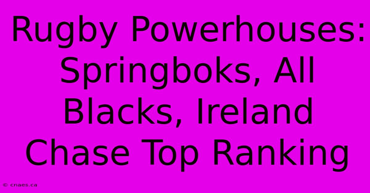 Rugby Powerhouses: Springboks, All Blacks, Ireland Chase Top Ranking 