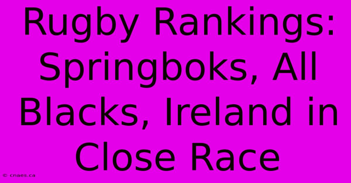 Rugby Rankings: Springboks, All Blacks, Ireland In Close Race