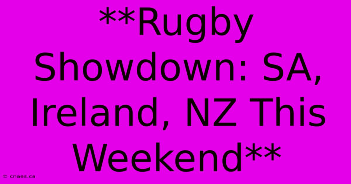 **Rugby Showdown: SA, Ireland, NZ This Weekend**