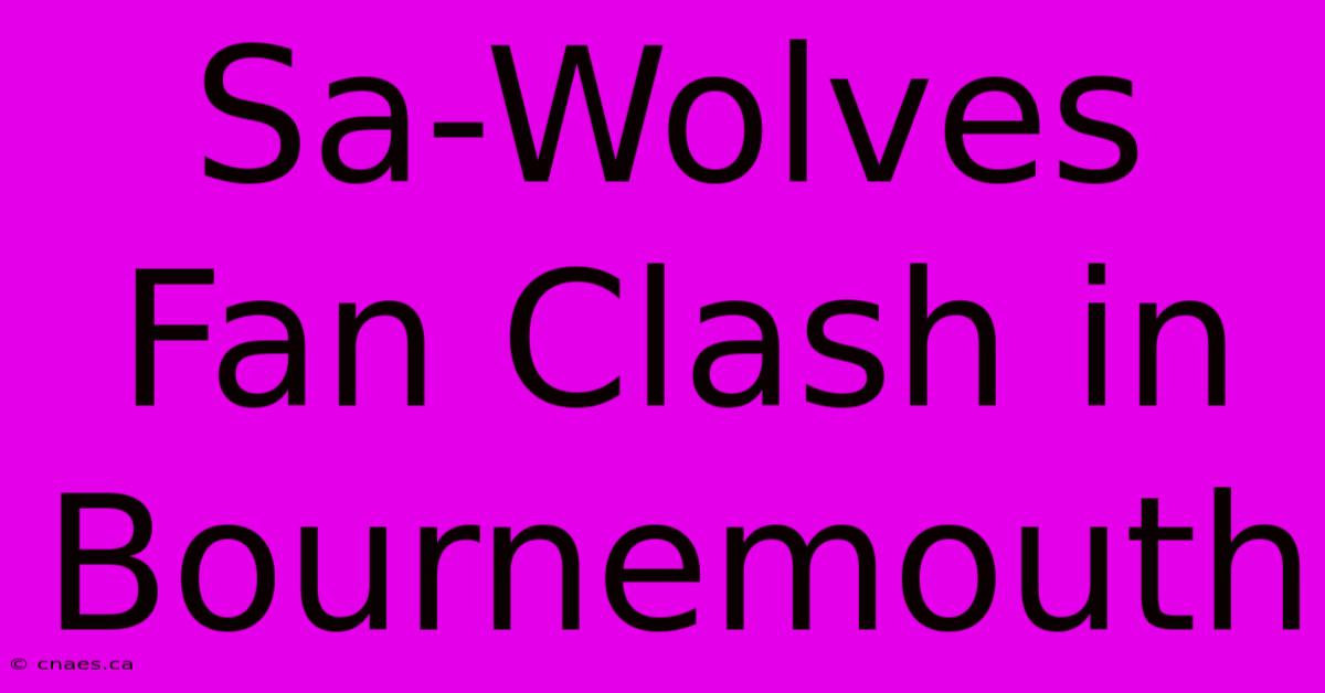 Sa-Wolves Fan Clash In Bournemouth