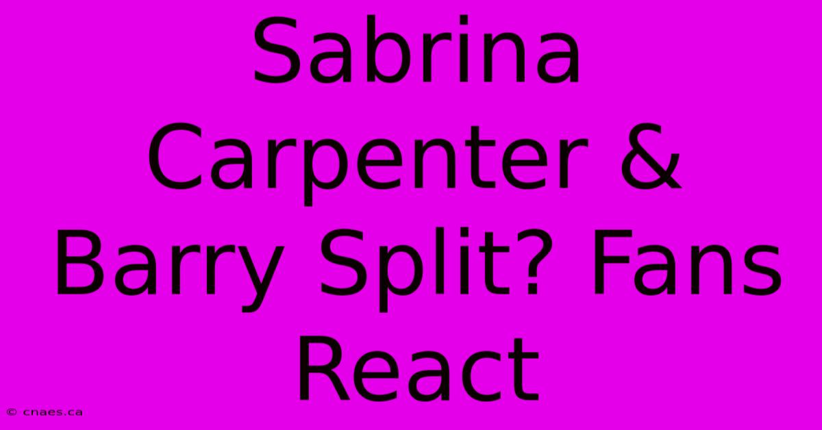 Sabrina Carpenter & Barry Split? Fans React