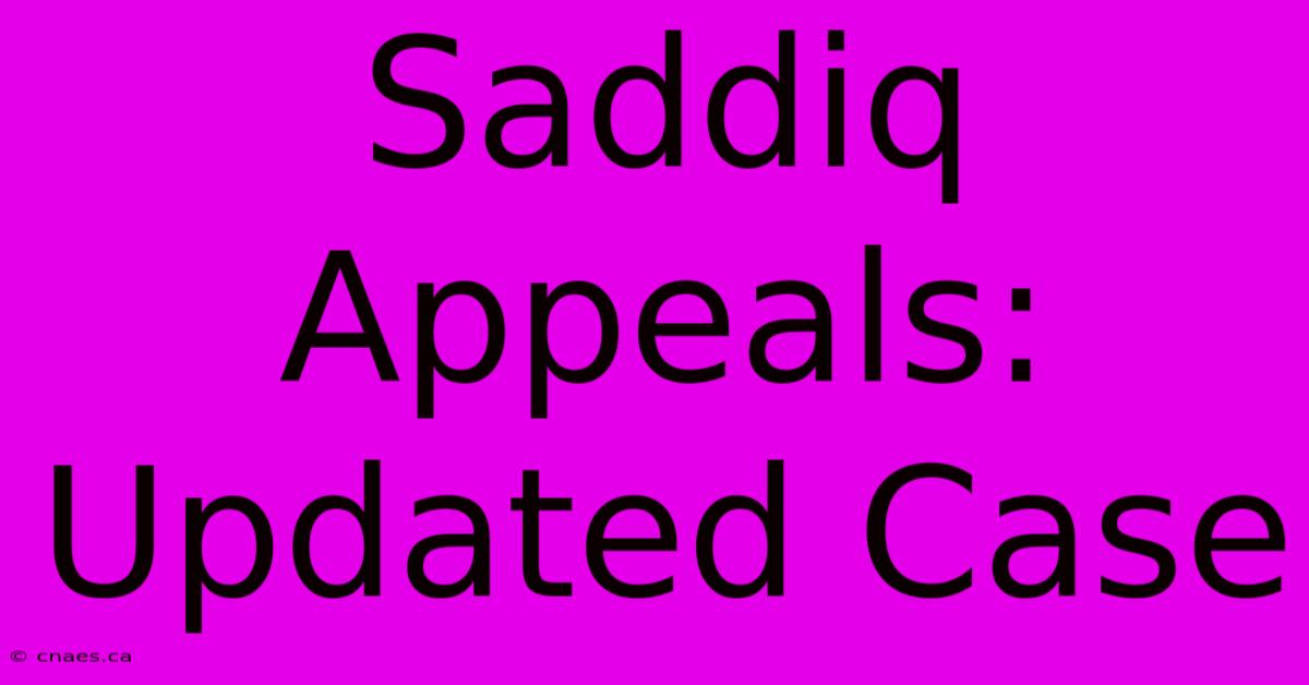 Saddiq Appeals: Updated Case