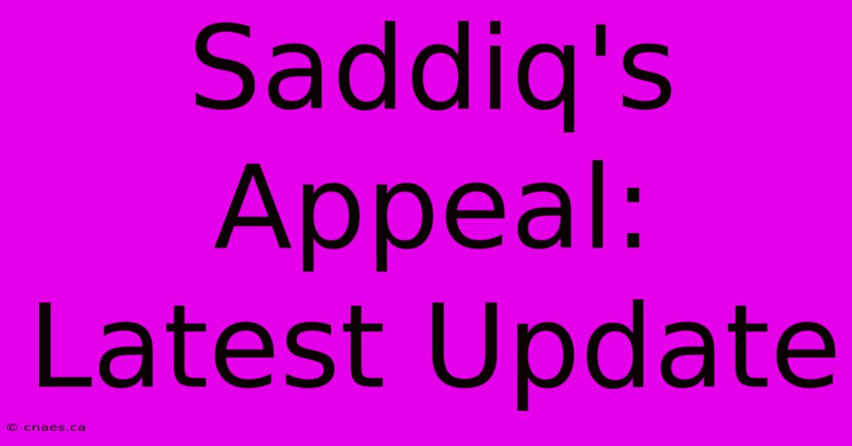 Saddiq's Appeal: Latest Update