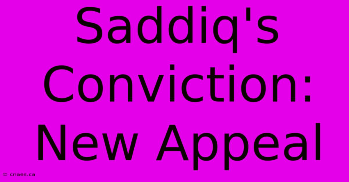 Saddiq's Conviction: New Appeal