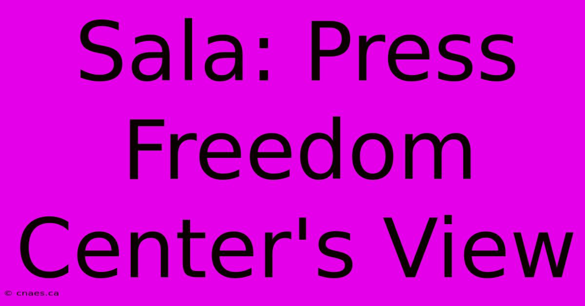 Sala: Press Freedom Center's View