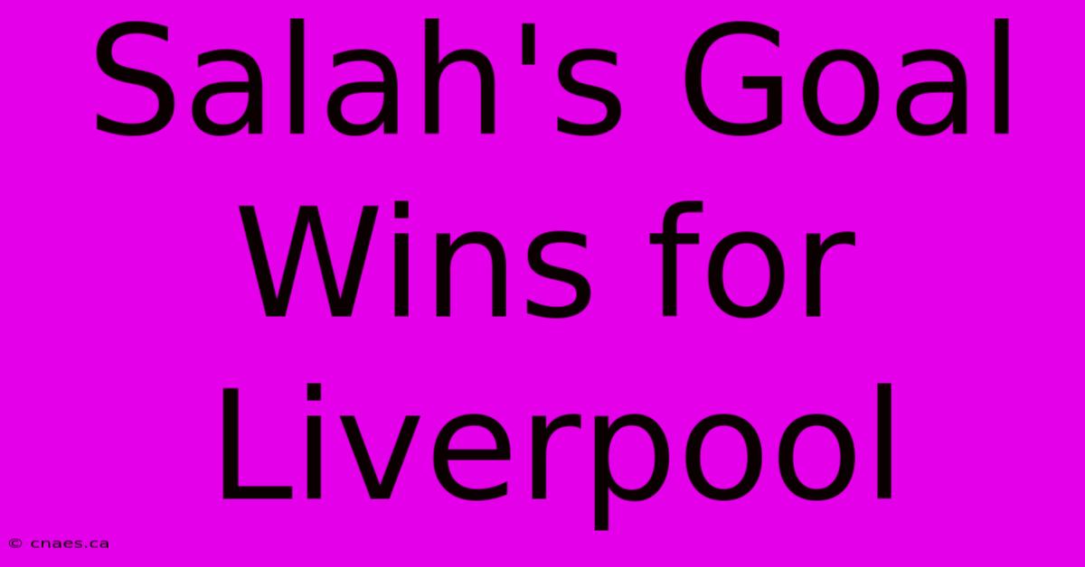 Salah's Goal Wins For Liverpool