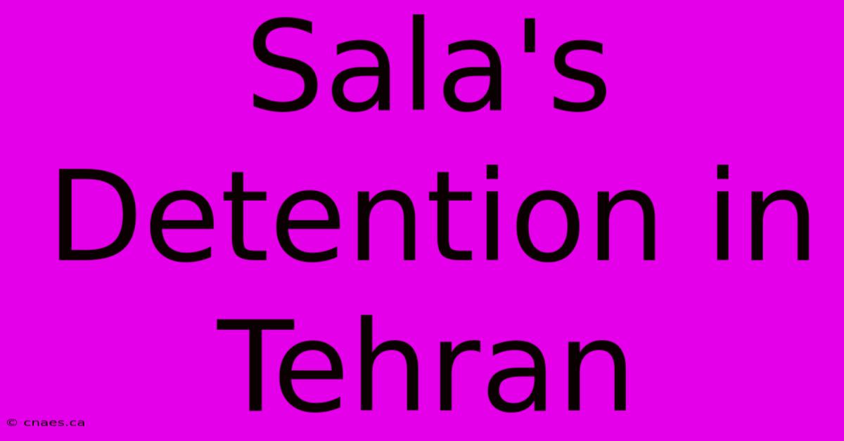 Sala's Detention In Tehran