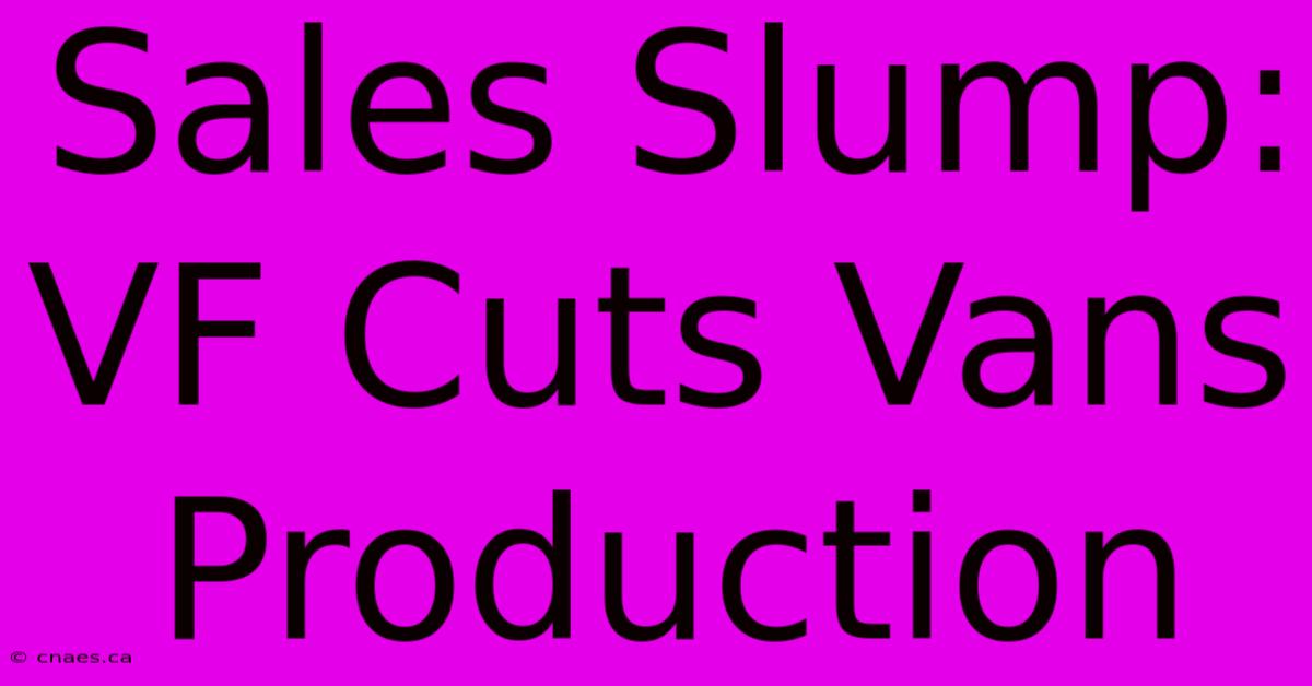 Sales Slump: VF Cuts Vans Production