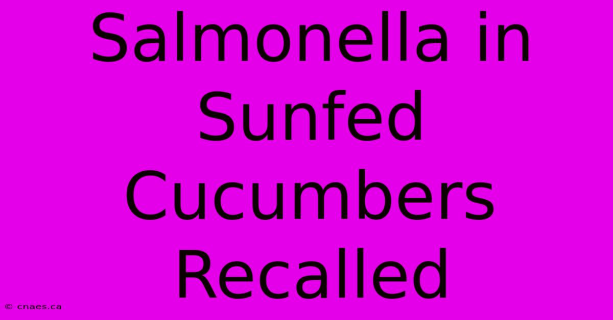 Salmonella In Sunfed Cucumbers Recalled