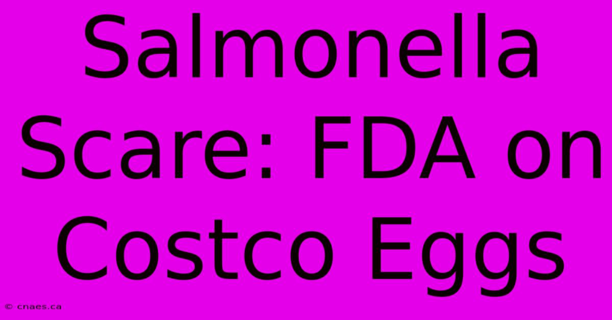 Salmonella Scare: FDA On Costco Eggs