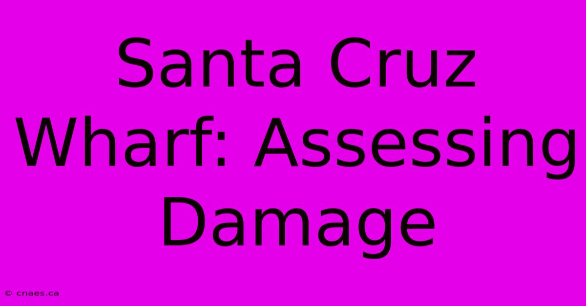 Santa Cruz Wharf: Assessing Damage