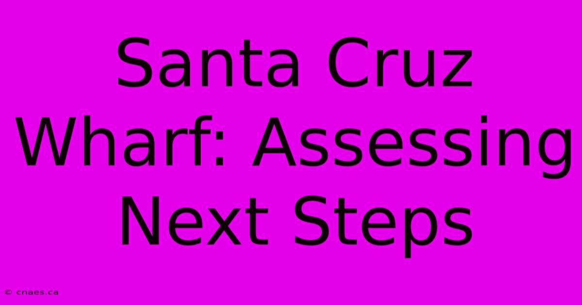 Santa Cruz Wharf: Assessing Next Steps