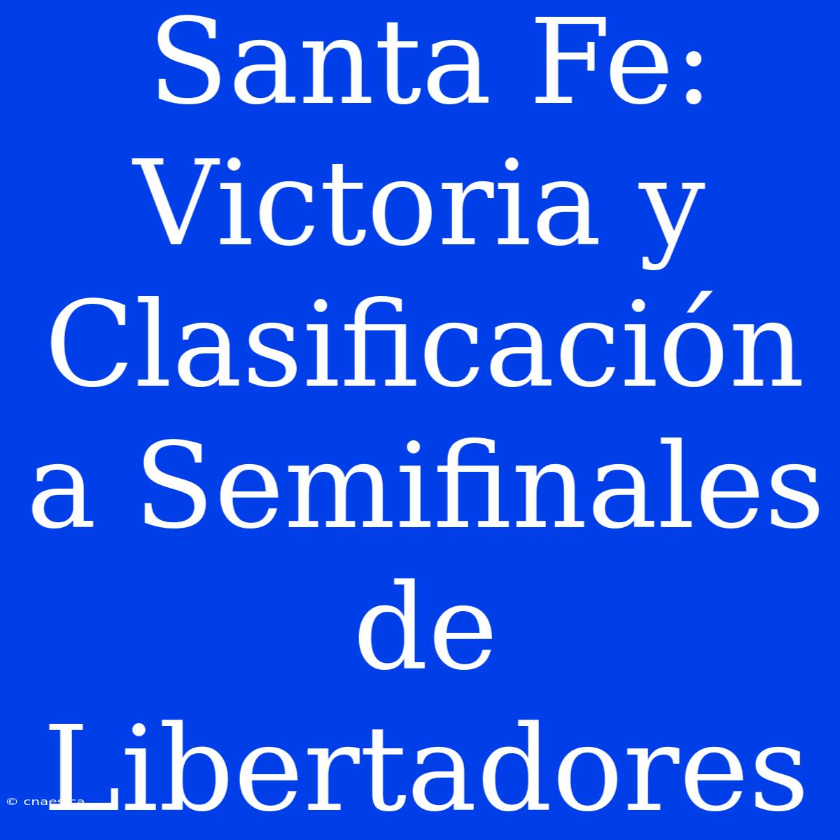 Santa Fe: Victoria Y Clasificación A Semifinales De Libertadores