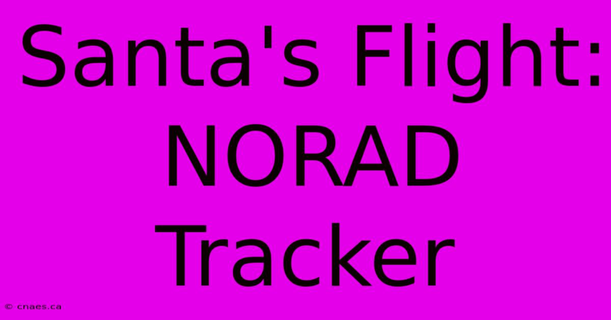 Santa's Flight: NORAD Tracker