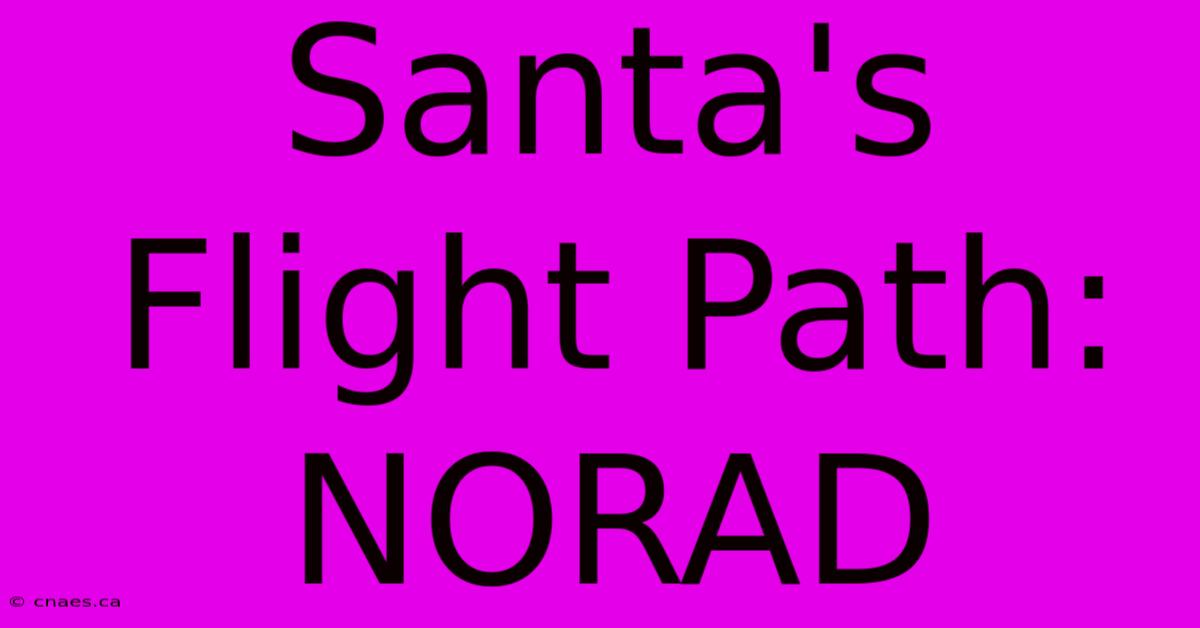 Santa's Flight Path: NORAD