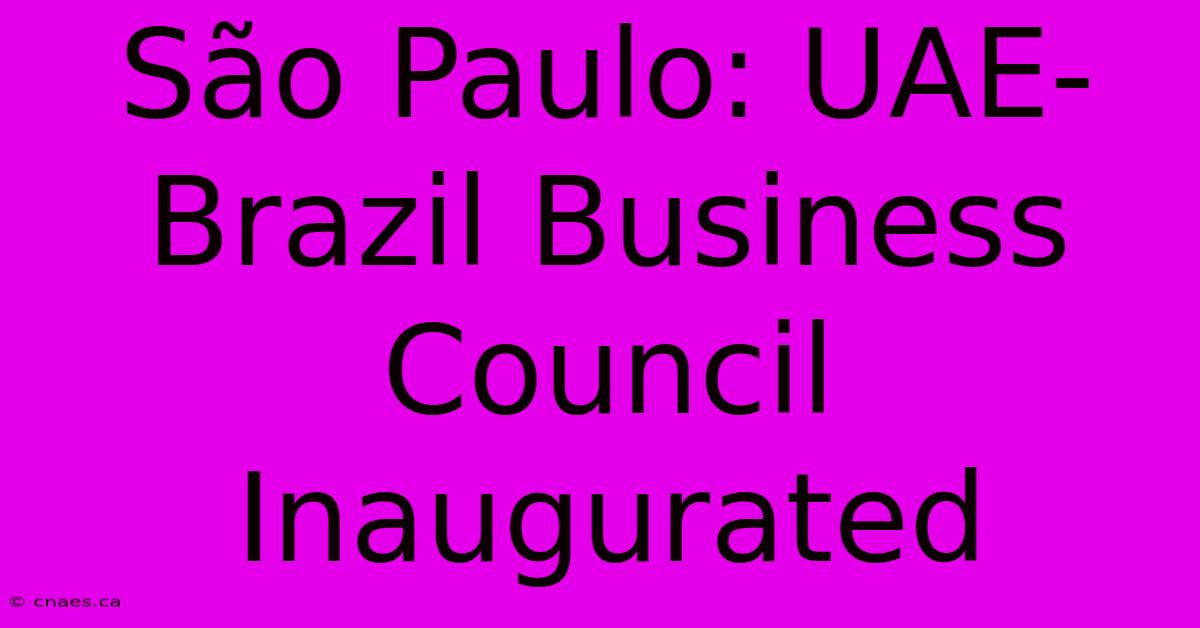 São Paulo: UAE-Brazil Business Council Inaugurated