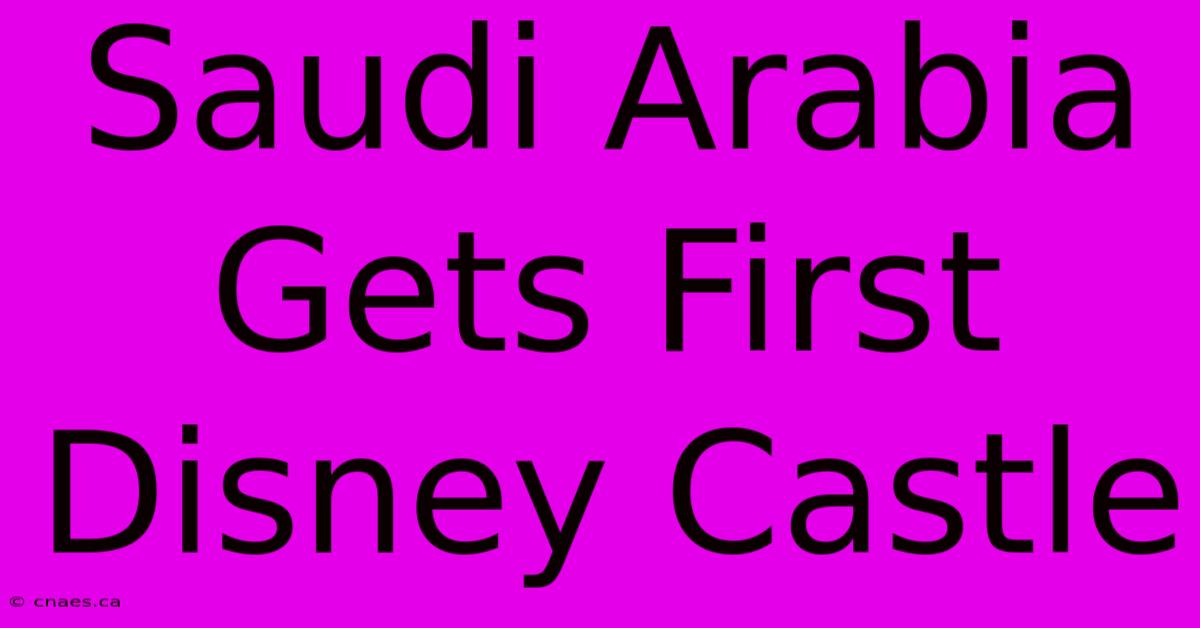 Saudi Arabia Gets First Disney Castle 