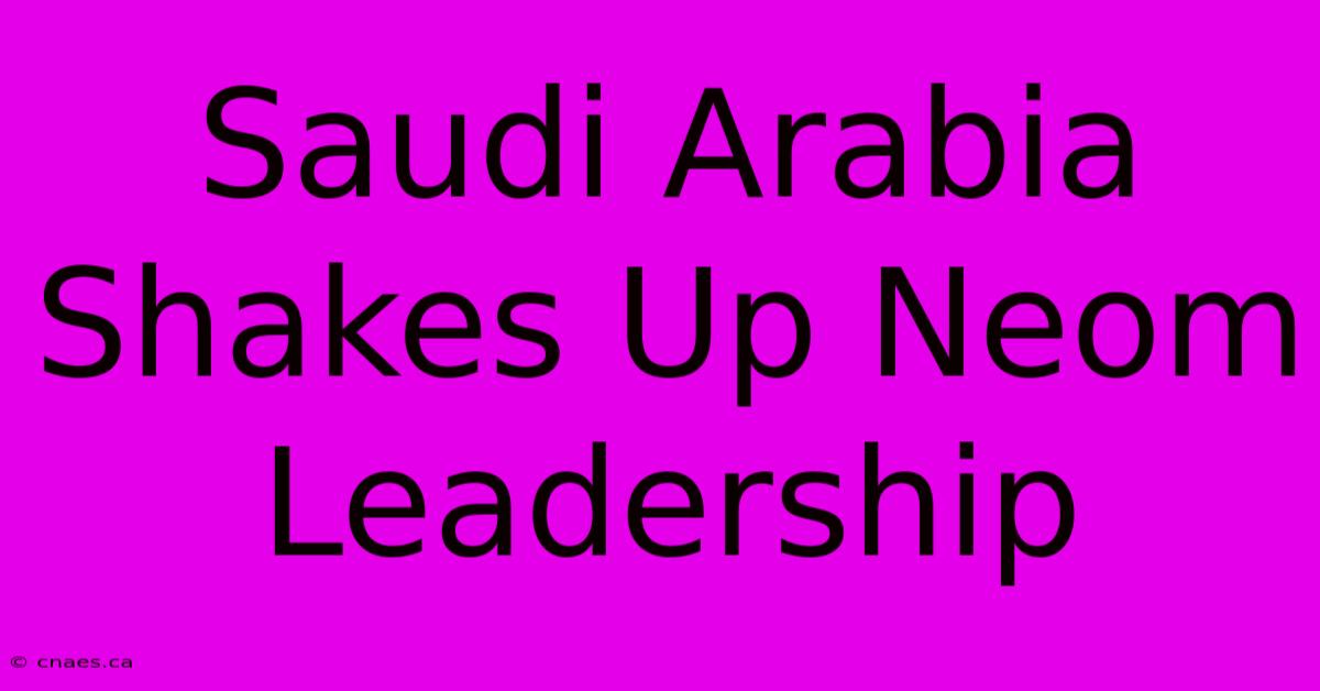 Saudi Arabia Shakes Up Neom Leadership