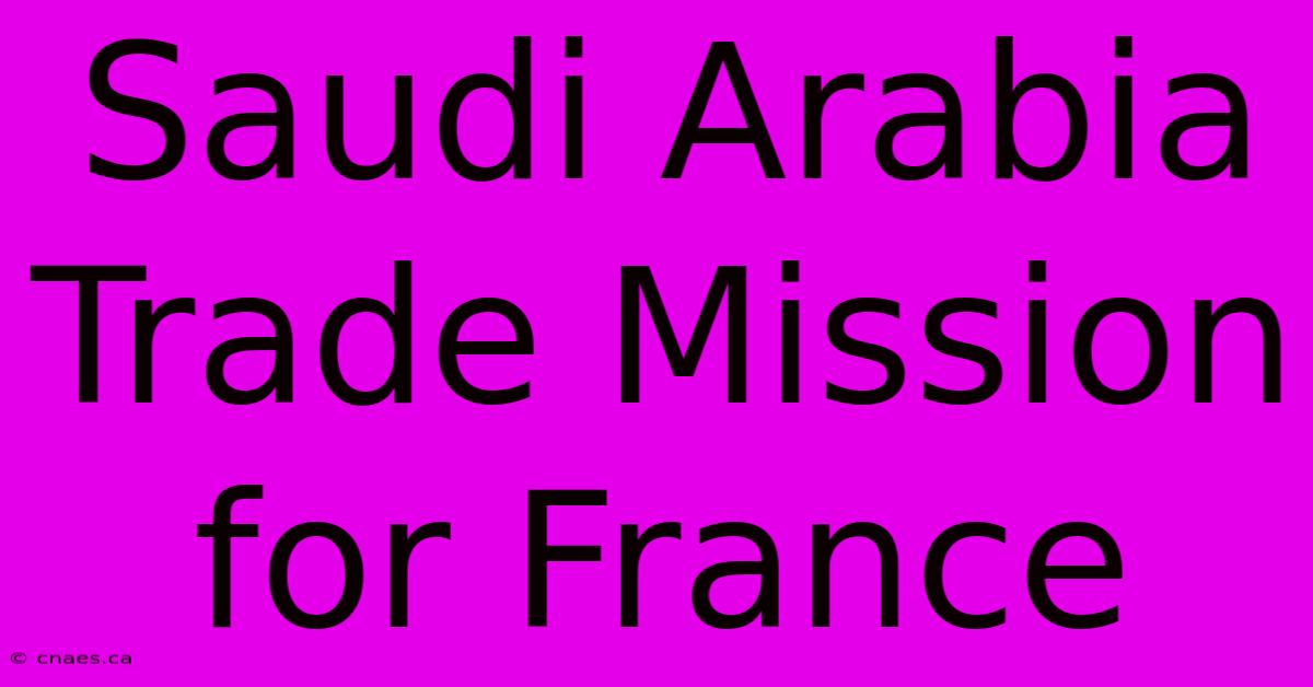 Saudi Arabia Trade Mission For France