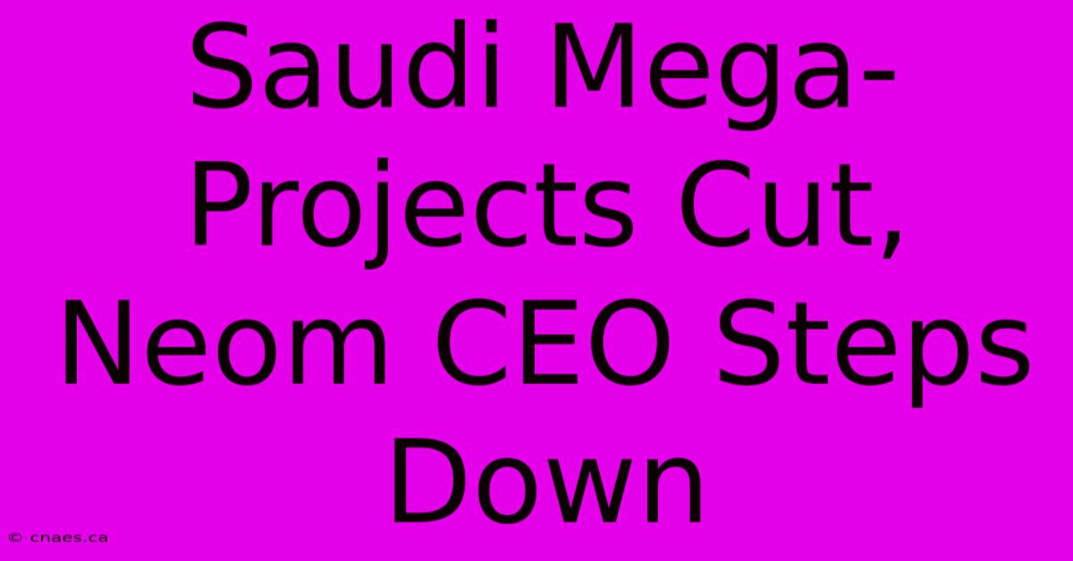 Saudi Mega-Projects Cut, Neom CEO Steps Down