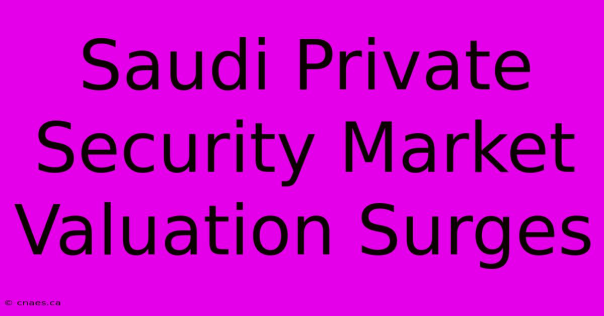 Saudi Private Security Market Valuation Surges