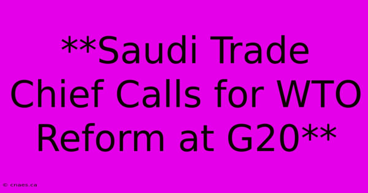 **Saudi Trade Chief Calls For WTO Reform At G20**