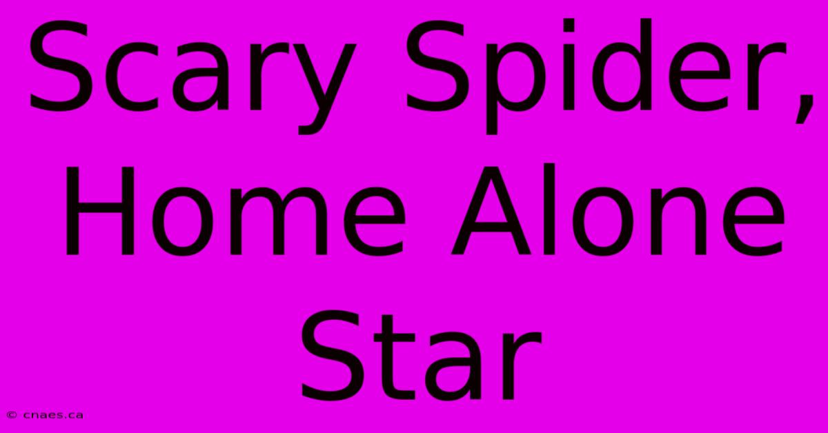 Scary Spider, Home Alone Star