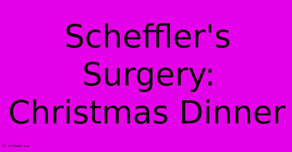 Scheffler's Surgery: Christmas Dinner