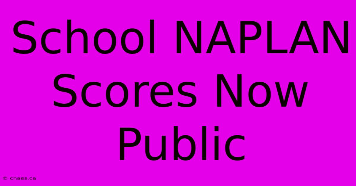 School NAPLAN Scores Now Public