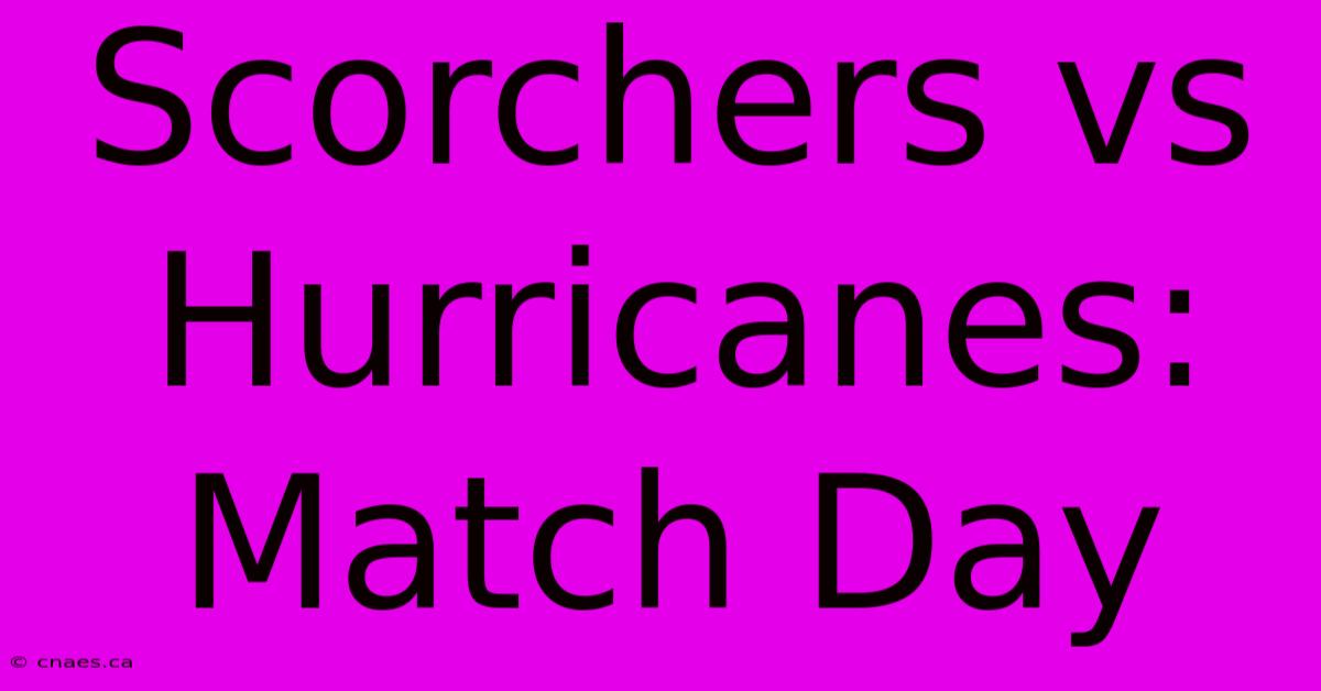 Scorchers Vs Hurricanes: Match Day