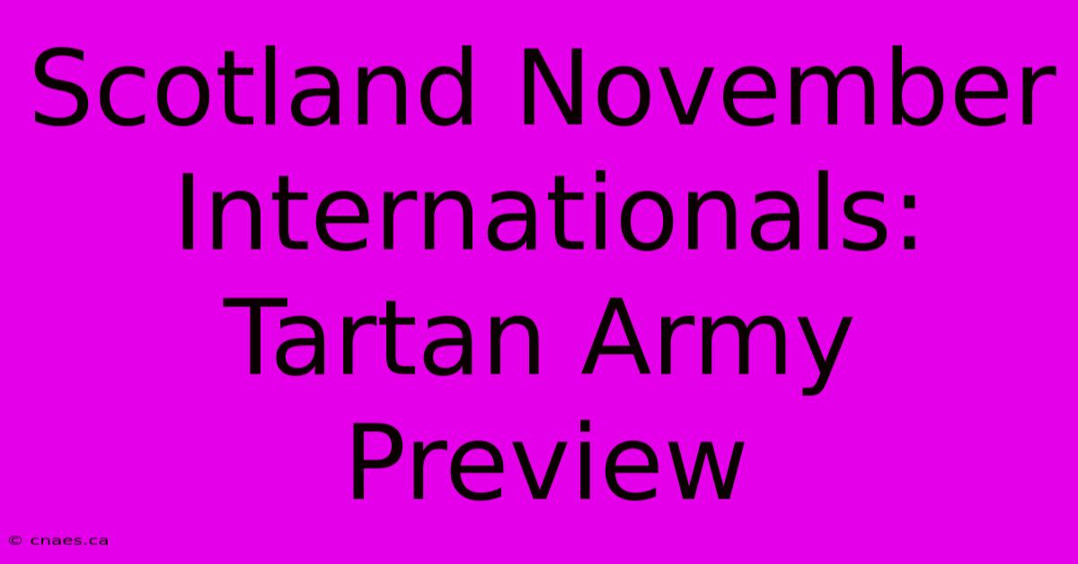 Scotland November Internationals: Tartan Army Preview