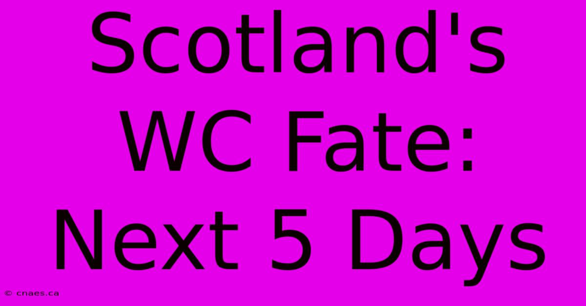 Scotland's WC Fate: Next 5 Days