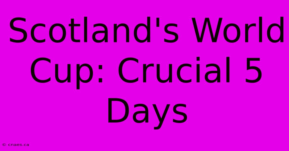 Scotland's World Cup: Crucial 5 Days