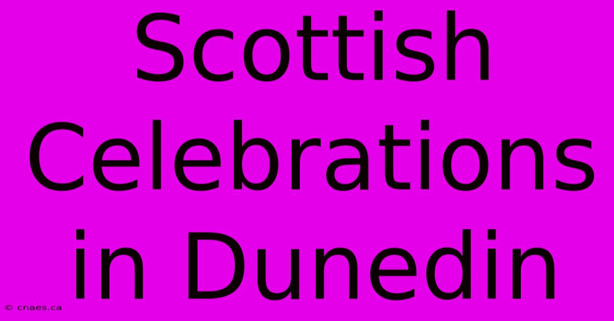 Scottish Celebrations In Dunedin