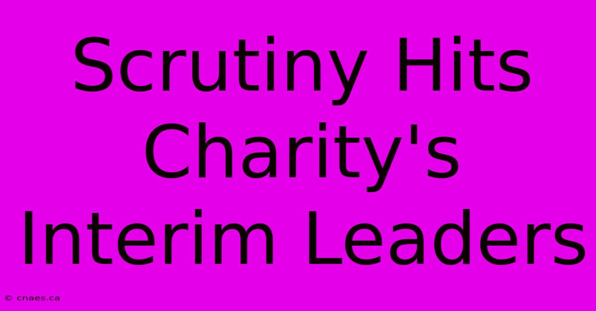 Scrutiny Hits Charity's Interim Leaders