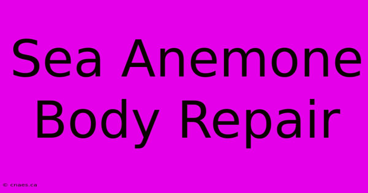 Sea Anemone Body Repair