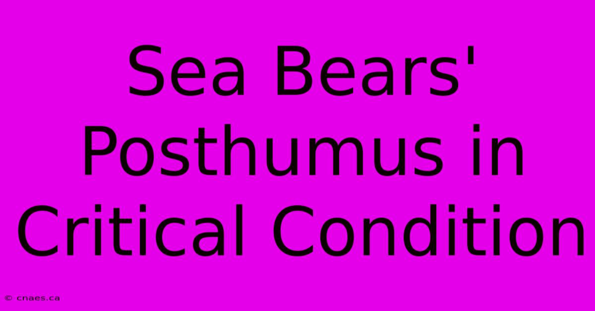 Sea Bears' Posthumus In Critical Condition