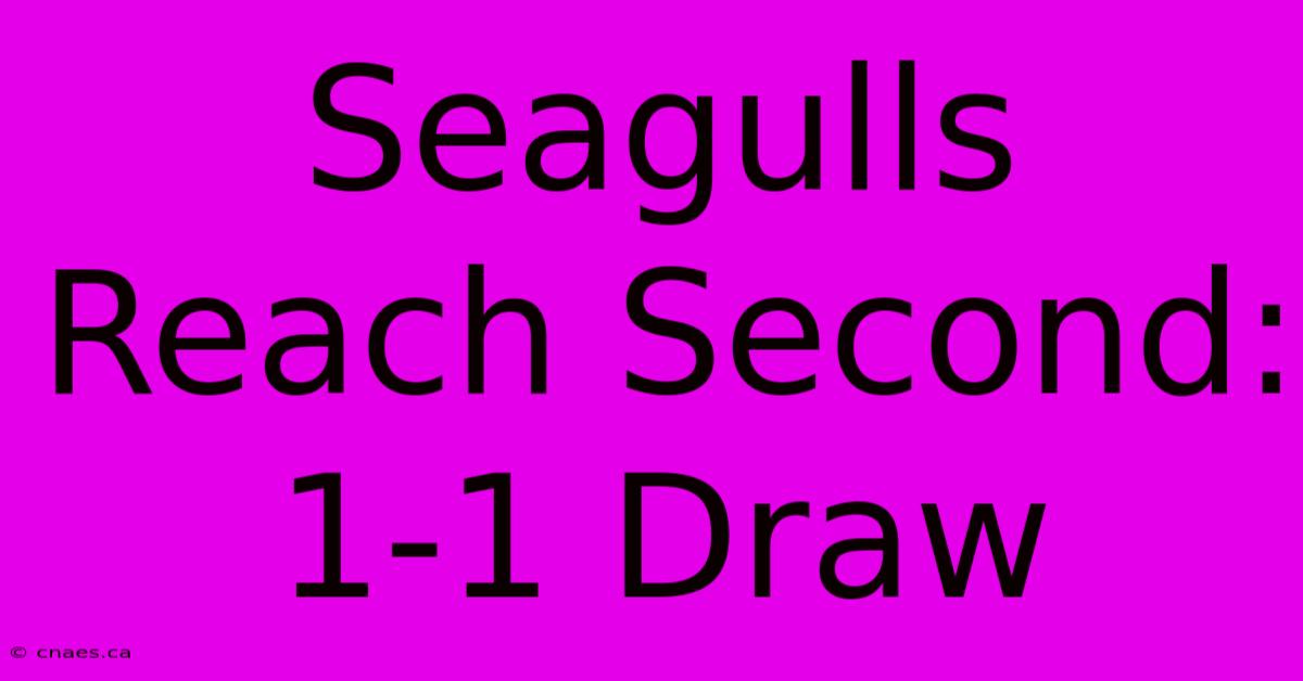 Seagulls Reach Second: 1-1 Draw